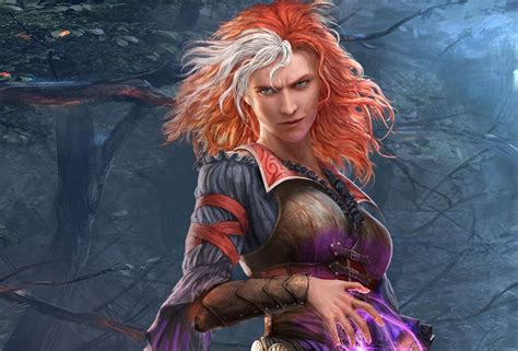 divinity original sin 2 companions